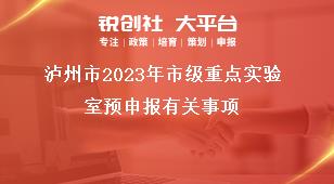 瀘州市2023年市級重點(diǎn)實(shí)驗(yàn)室預(yù)申報(bào)有關(guān)事項(xiàng)獎(jiǎng)補(bǔ)政策