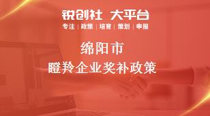 綿陽市瞪羚企業(yè)相關(guān)配套獎補(bǔ)政策