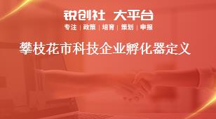 攀枝花市科技企業孵化器定義獎補政策