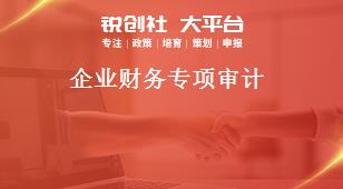 企業(yè)財(cái)務(wù)專項(xiàng)審計(jì)獎(jiǎng)補(bǔ)政策
