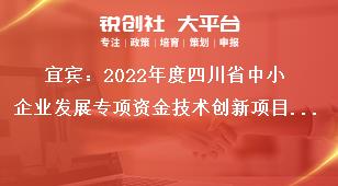 宜賓：2022年度四川省中小企業發展專項資金技術創新項目類型獎補政策