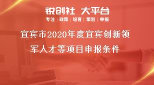 宜賓市2020年度宜賓創(chuàng)新領(lǐng)軍人才等項(xiàng)目申報條件獎補(bǔ)政策