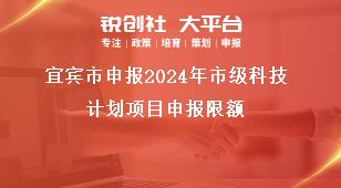 宜賓市申報2024年市級科技計劃項目申報限額獎補(bǔ)政策
