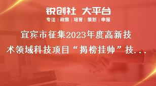 宜賓市征集2023年度高新技術(shù)領(lǐng)域科技項(xiàng)目“揭榜掛帥”技術(shù)需求征集對象獎補(bǔ)政策